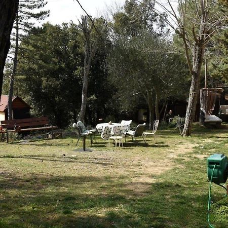 Apartamento Mdq - Azienda Agricola Castiglione dʼOrcia Exterior foto