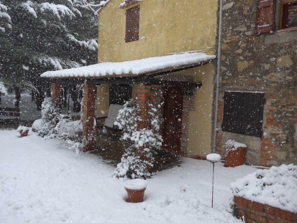 Apartamento Mdq - Azienda Agricola Castiglione dʼOrcia Exterior foto