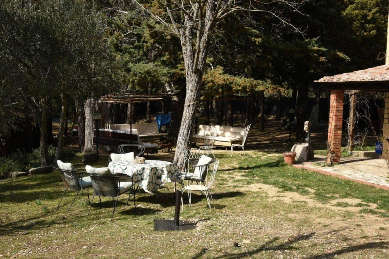 Apartamento Mdq - Azienda Agricola Castiglione dʼOrcia Exterior foto